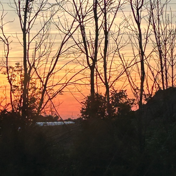 Meet your Posher, Nana - Picture 2 of 2